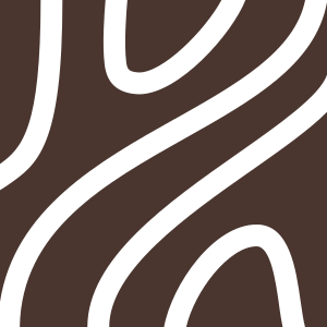 Tischler-Schreiner.org Icon